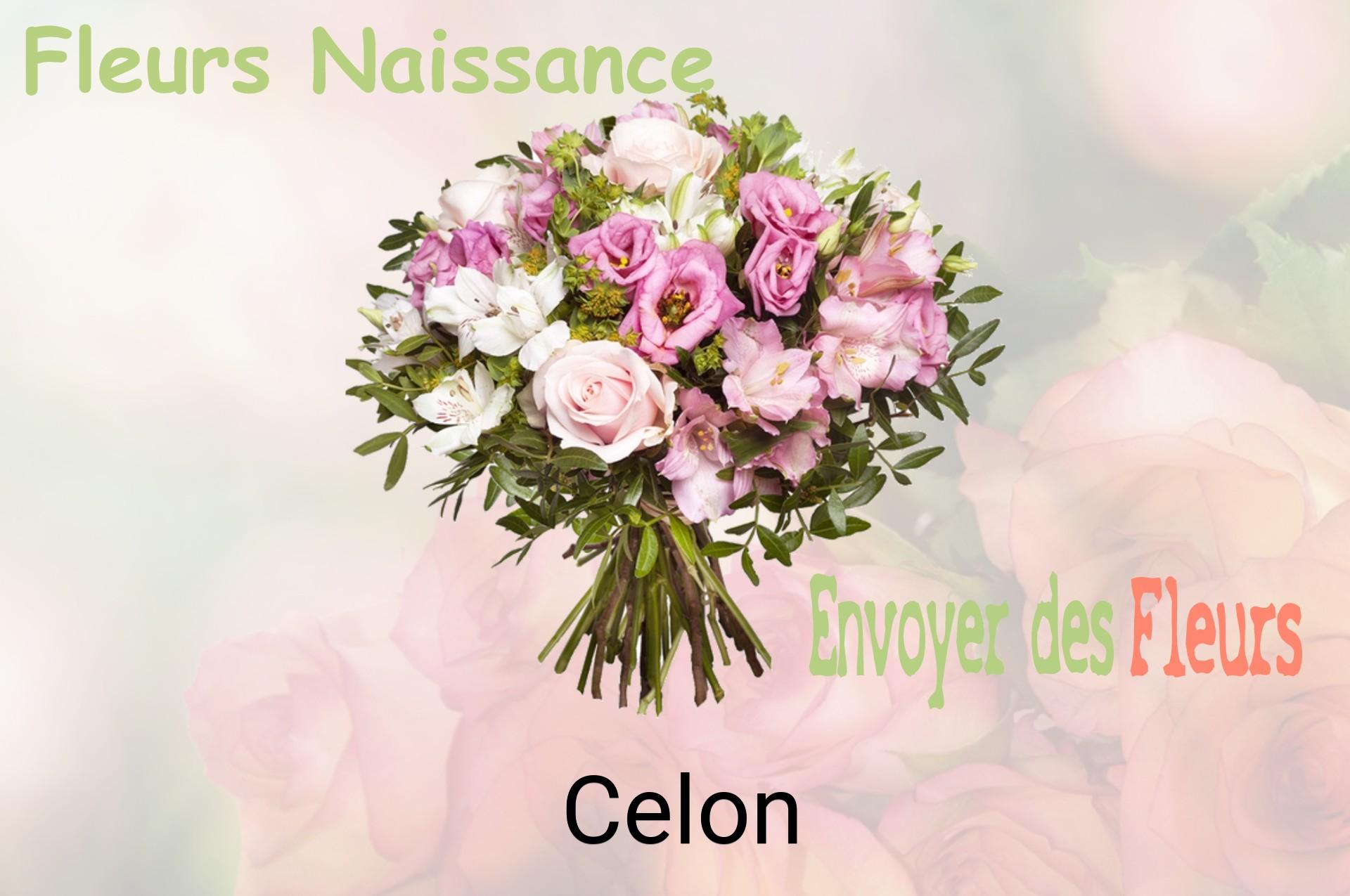 Bouquet de fleurs de naissance livré à Celon