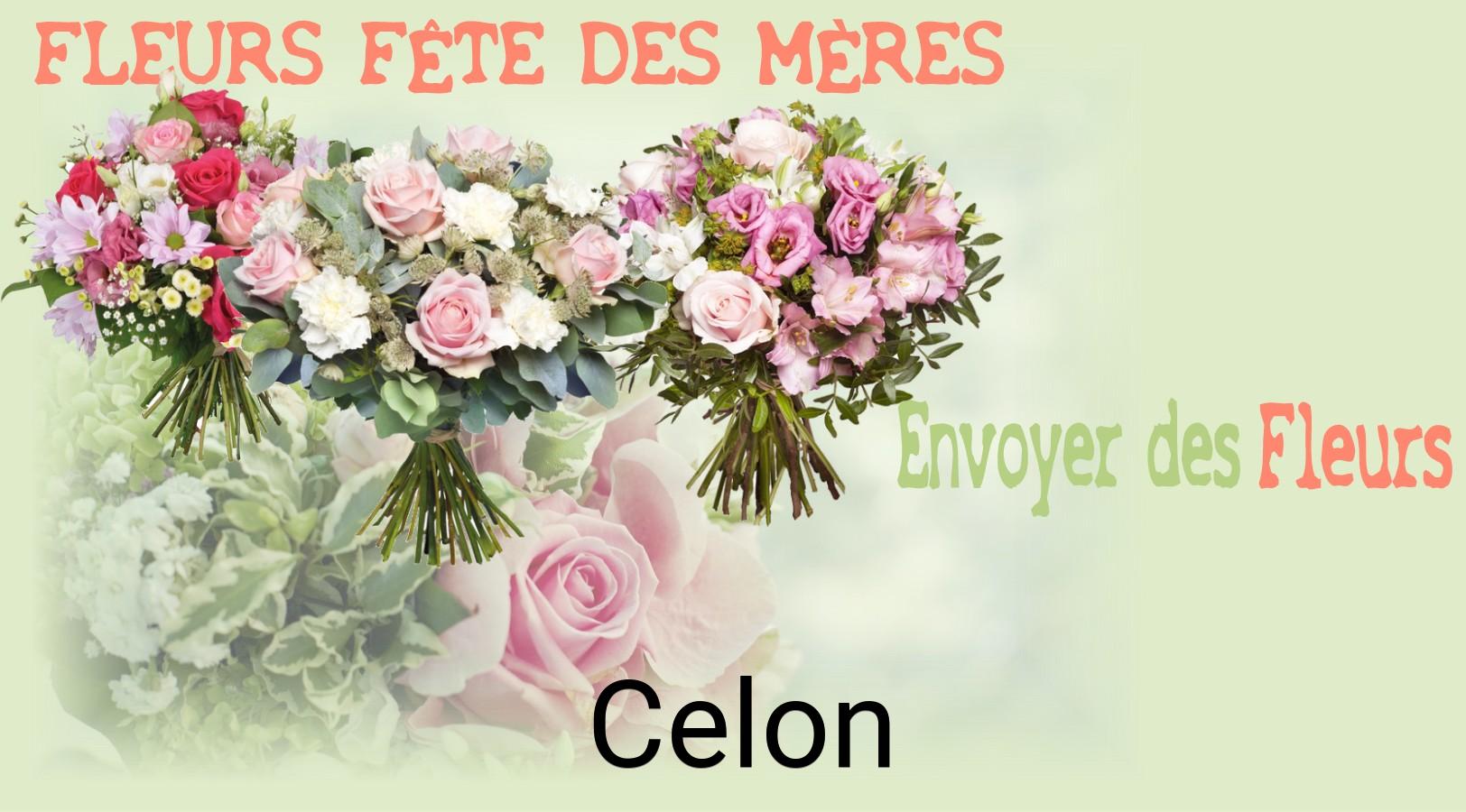Bouquet de Fête des Mères livré à Celon